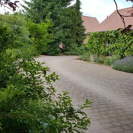 Hofgestuet Bleesern Fewo2 Seegrehna