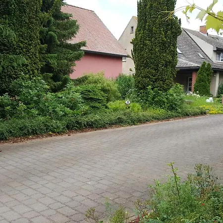 Hofgestuet Bleesern Fewo2 아파트 Seegrehna