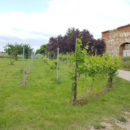 Hofgestuet Bleesern Fewo2 Seegrehna