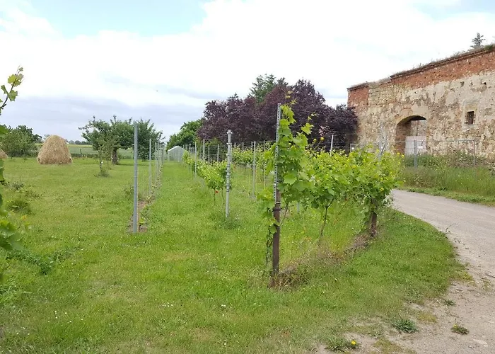 Hofgestuet Bleesern Fewo2 Seegrehna